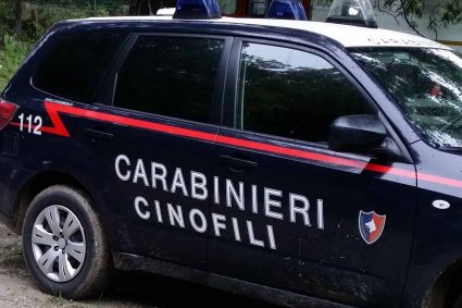 Carabinieri controlli a tappeto: due gli arresti e 5 le persone denunciate a piede libero. Sono 94 le persone identificate mentre 39 i veicoli controllati