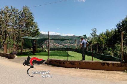 Monti Lattari: Controlli dei Carabinieri tra abusivismo edilizio e droga